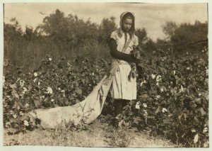 Picking_Cotton_by_Lewis_W._Hine,_1916_(LOC)_(491307954)