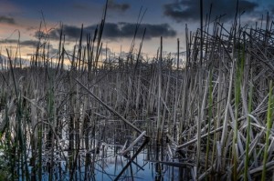 sea-dawn-twilight-lake-medium