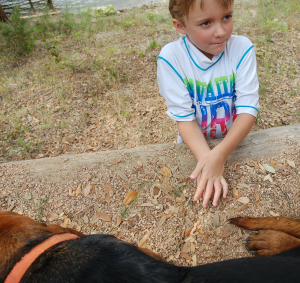 2013.Daniel.at.farm.dogs