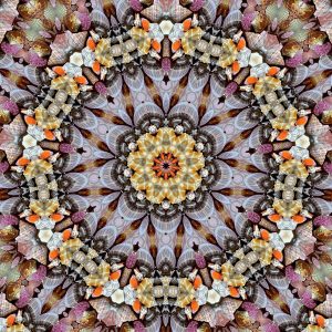 kaleidoscope_mandala-1248169_1280